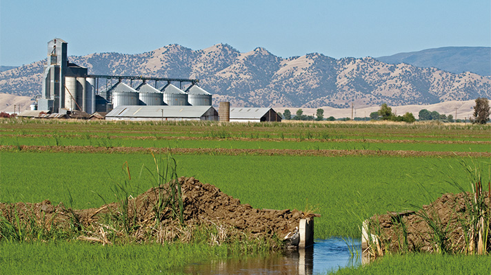 Usaライス連合会 アメリカ米について 豊かな栽培環境