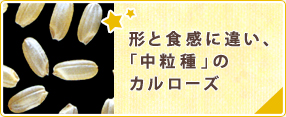 形と食感に違い、「中粒種」のカルローズ