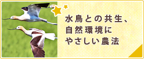 水鳥との共生、自然環境にやさしい農法