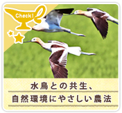 水鳥との共生、自然環境にやさしい農法