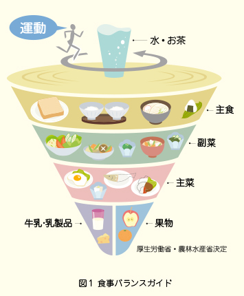 食事バランスガイド