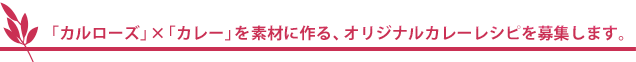 あなたの作ったオリジナル料理を掲載しませんか？カルローズ×カレーレシピ募集！