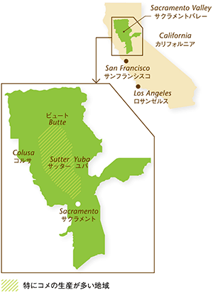 アメリカのコメどころ､カリフォルニア州サクラメントバレー