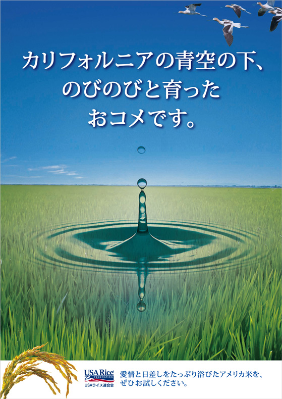 短粒種　２８．ポスター