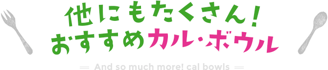 他にもたくさん！おすすめカル・ボウル