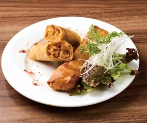 カルローズのビリヤニ風カレーチーズ春巻き